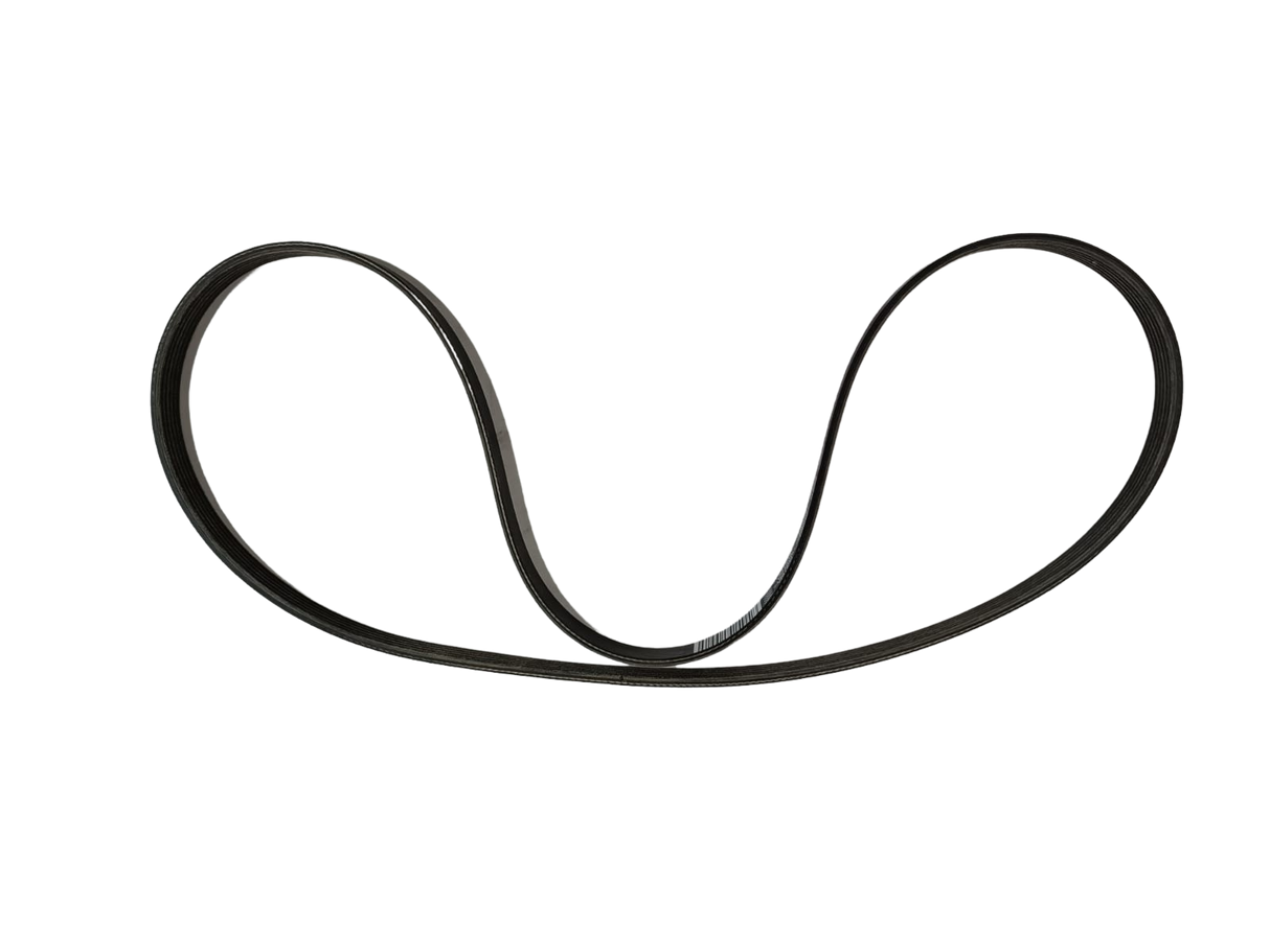 Maserati "DAYCO PV-K" TYPE BELT A 239616