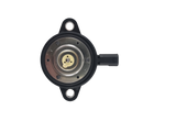 Lamborghini Magnet 06M109259M